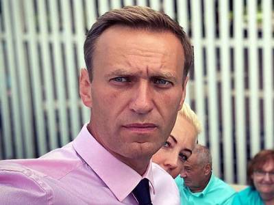 Алексей Навальный - Валерий Соловей - Политолог Соловей усомнился, стоит ли возвращаться Навальному в Россию - newsland.com - Москва