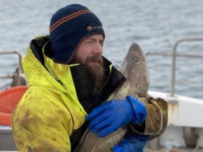 Seadora запускает доставку рыбы и морепродуктов по Украине: от Львова до Харькова, от Луцка до Запорожья - gordonua.com - Киев - Луганская обл. - Львов - Николаев - Луцк - Одесса - Харьков - Запорожье - Полтава - Ужгород - Житомир - Донецкая обл.