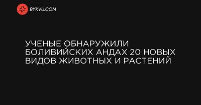 Ученые обнаружили Боливийских Андах 20 новых видов животных и растений - bykvu.com - Боливия