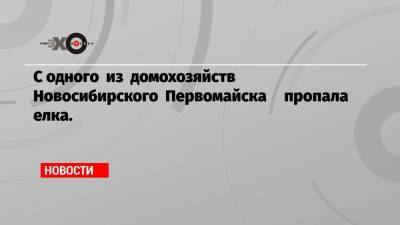 Глеб Никитин - С одного из домохозяйств Новосибирского Первомайска пропала елка. - echo.msk.ru - Нижегородская обл. - Первомайск