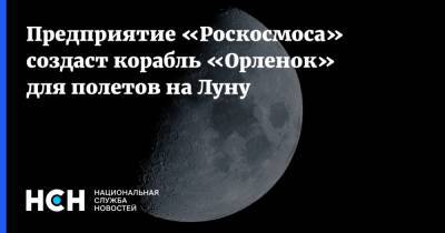 Предприятие «Роскосмоса» создаст корабль «Орленок» для полетов на Луну - nsn.fm