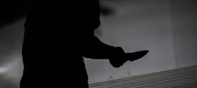 Житель Карелии по пьянке ударил ножом соседа в грудь - stolicaonego.ru - район Питкярантский - республика Карелия