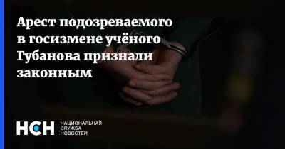 Анатолий Губанов - Арест подозреваемого в госизмене учёного Губанова признали законным - nsn.fm