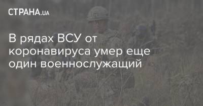 В рядах ВСУ от коронавируса умер еще один военнослужащий - strana.ua