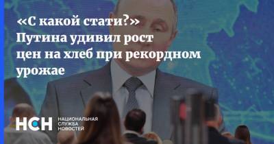 Владимир Путин - «С какой стати?» Путина удивил рост цен на хлеб при рекордном урожае - nsn.fm