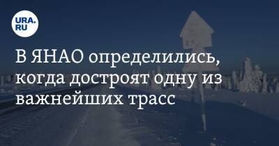 В ЯНАО определились, когда достроят одну из важнейших трасс - ura.news - Ноябрьск - Югра - окр. Янао