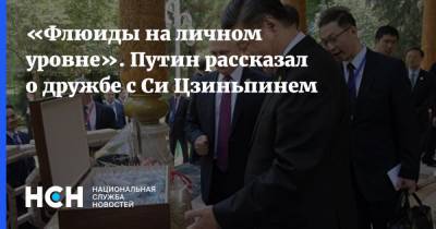 Владимир Путин - Си Цзиньпин - «Флюиды на личном уровне». Путин рассказал о дружбе с Си Цзиньпинем - nsn.fm