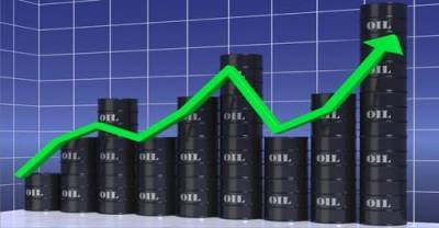 Впервые с февраля стоимость нефти в Европе превысила 50 долл. за баррель - argumenti.ru - Европа