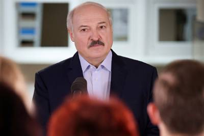 Александр Лукашенко - Александр Турчин - Лукашенко призвал не надеяться на 2021 год - lenta.ru - Белоруссия - Минская обл.