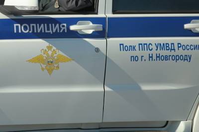 Трое грабителей были задержаны ночью в Богородском районе - nn.mk.ru - Нижегородская обл. - район Богородский