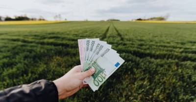 Рада приняла закон о "нянях" для инвестпроектов от €20 млн - delo.ua