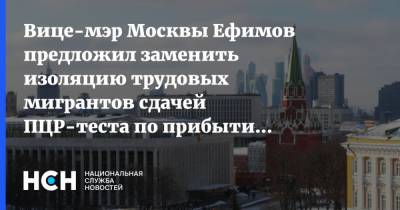 Владимир Ефимов - Вице-мэр Москвы Ефимов предложил заменить изоляцию трудовых мигрантов сдачей ПЦР-теста по прибытии в РФ - nsn.fm - Москва
