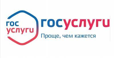 Владимир Путин - Сергей Морозов - Ульяновцы с начала года получили 1,7 миллиона электронных услуг - ulpravda.ru - Ульяновская