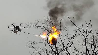 В Китае осиные гнезда уничтожает дрон-огнемет: мощное видео - 24tv.ua - Китай - США