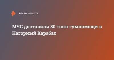 МЧС доставили80 тонн гумпомощи в Нагорный Карабах - ren.tv - Степанакерт