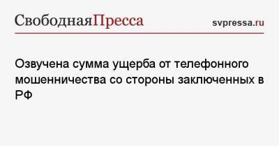 Юрий Жданов - Озвучена сумма ущерба от телефонного мошенничества со стороны заключенных в РФ - svpressa.ru - Московская обл.