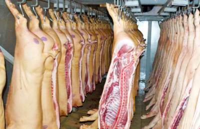 Названы причины нетипичного удешевления свинины - agroportal.ua