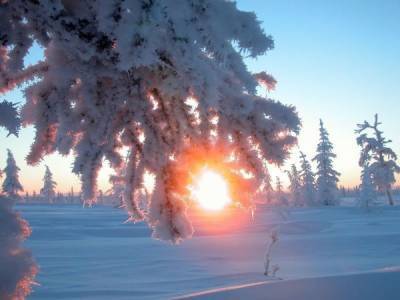 День зимнего солнцестояния 2020: когда ожидать самый короткий день в году - 24tv.ua