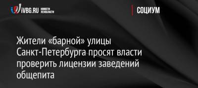 Александр Беглов - Жители «барной» улицы Санкт-Петербурга просят власти проверить лицензии заведений общепита - ivbg.ru - Россия - Санкт-Петербург