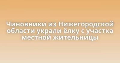 святой Владимир - Чиновники из Нижегородской области украли ёлку с участка местной жительницы - skuke.net - Нижегородская обл. - Первомайск - Интересно