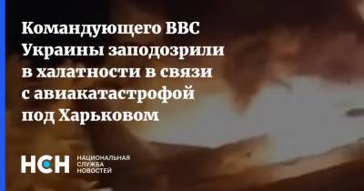 Сергей Дроздов - Командующего ВВС Украины заподозрили в халатности в связи с авиакатастрофой под Харьковом - nsn.fm - Украина - Харьков