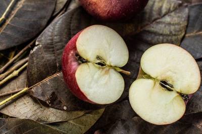 Ученые выяснили, как употребление яблок защищает от COVID-19 - Cursorinfo: главные новости Израиля - cursorinfo.co.il