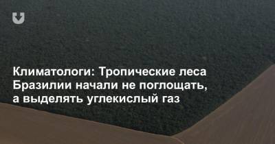 Климатологи: Тропические леса Бразилии начали не поглощать, а выделять углекислый газ - news.tut.by - Бразилия