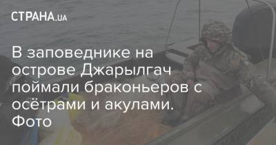 В заповеднике на острове Джарылгач поймали браконьеров с осётрами и акулами. Фото - strana.ua - Херсон - Херсонская Область