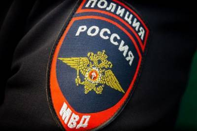 С начала года МВД возбудило 37 уголовных дел о фейках во время пандемии - aif.ru - Нижегородская обл.