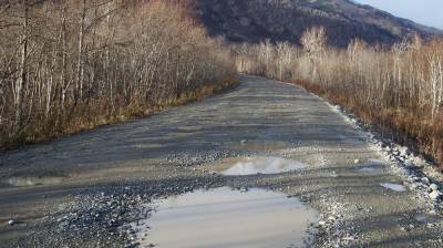 В Воронежской области водитель отсудил почти 130 тыс. рублей за разбитую дорогу - vestivrn.ru - Воронежская обл.