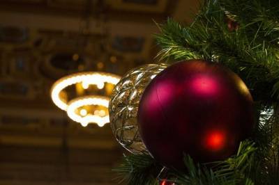 Ангела Меркель - Немцы рассказали, почему живая елка на Новый год лучше пластиковой - aif.ru