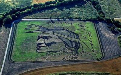 Агро - Шедевры на полях: художник рисует монументальные картины трактором - 24tv.ua