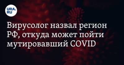 Сергей Нетесов - Вирусолог назвал регион РФ, откуда может пойти мутировавший COVID - ura.news - США - Новосибирск - Швеция - Испания - Дания - Голландия