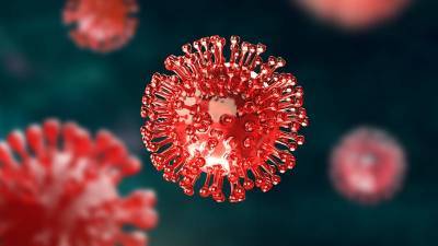 В мире нашли новый опасный штамм коронавируса - Cursorinfo: главные новости Израиля - cursorinfo.co.il - Юар