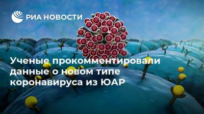 Австралия - Сергей Нетесов - Александр Чепурнов - Ученые прокомментировали данные о новом типе коронавируса из ЮАР - ria.ru - Москва - Юар