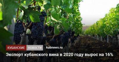Вениамин Кондратьев - Экспорт кубанского вина в 2020 году вырос на 16% - kubnews.ru