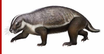 Палеонтологи обнаружили неизвестного науке "сумасшедшего зверя" - profile.ru - Мадагаскар
