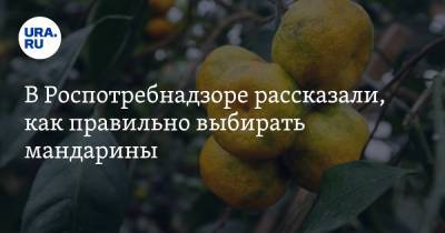Дарья Русакова - В Роспотребнадзоре рассказали, как правильно выбирать мандарины. Инструкция - ura.news