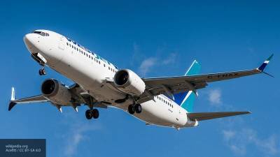 Юрий Сытник - Пилоты рассказали, как избежать авиакатастроф на Boeing 737 MAX - nation-news.ru - Эфиопия