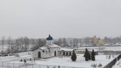 Жители Приморского района нашли "потерянные" деревья, которые выкопали для благоустройства у церкви - piter.tv - р-н Приморский - Благоустройство