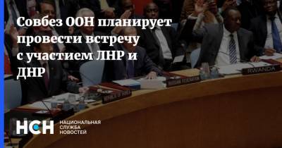 Владислав Дейнего - Совбез ООН планирует провести встречу с участием ЛНР и ДНР - nsn.fm - Украина - ДНР - Венесуэла - ЛНР