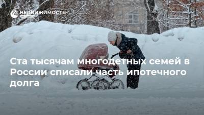 Ста тысячам многодетных семей в России списали часть ипотечного долга - realty.ria.ru - Москва - Россия - Московская обл.