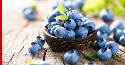 Синяя ягода оказалась эффективным средством против старения - profile.ru