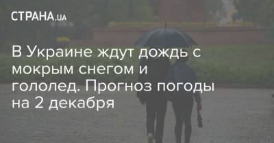 Наталья Диденко - В Украине ждут дождь с мокрым снегом и гололед. Прогноз погоды на 2 декабря - strana.ua - Украина - Киев