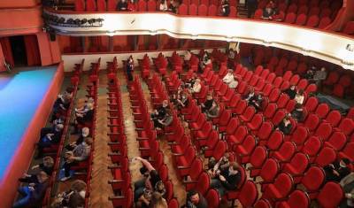 Театры и концертные залы: выжить любой ценой - mirnov.ru