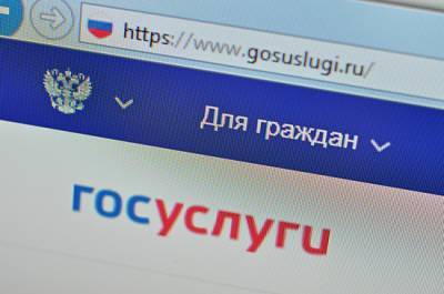На госуслугах запустили механизм сбора согласий на информирование о положенных льготах - pnp.ru