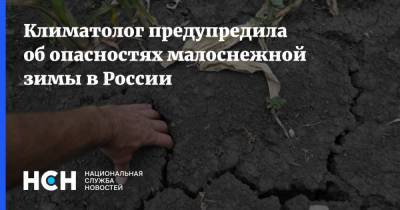 Екатерина Пестрякова - Климатолог предупредила об опасностях малоснежной зимы в России - nsn.fm - Челябинск