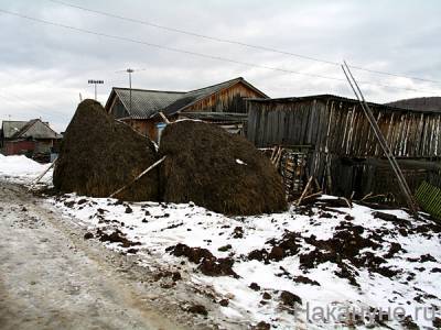 В Ленинградской области произошёл взрыв в жилом доме - nakanune.ru - Ленинградская обл.