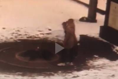 В Красном Селе две школьницы забросали снегом Вечный огонь - ivbg.ru - Петербург