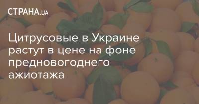 Цитрусовые в Украине растут в цене на фоне предновогоднего ажиотажа - strana.ua - Египет - Грузия - Турция